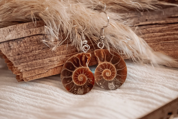 Ammonit Ohrringe - 925 Silber